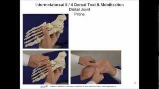 Pedes the Foot Tests and Mobilization Techniques Manual Therapy Chiropraktik [upl. by Ahtreb773]