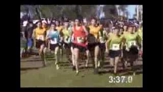 2013 Boys Championship Race [upl. by Narf]