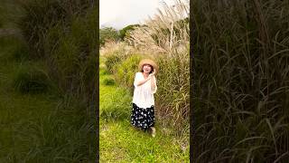 AT 仙石原すすき草原⛰️🌾Sengokuhara Susuki grasslands part 1 [upl. by Nodnnarb]