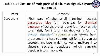 Grade 10 Biology Chapter 4 Part 7 [upl. by Nnylatsyrc]