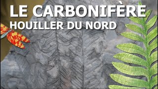 Le Carbonifère houiller du Nord et sa flore fossile [upl. by Greta]