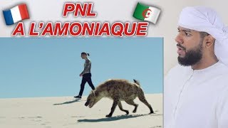 رد فعل خليجي على أغنية بي أن آل في PNL  A lAmmoniaque مش معقول [upl. by Edin]