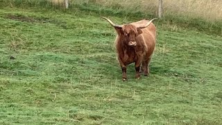 Day 6 John O’Groats to Lands End JOGLE 8th September 2024 [upl. by Animrelliug]