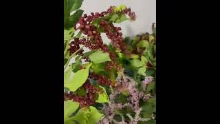 Silk 3 heads Pokeweed artificial flowers factory wholesale price  Wedding event floral arrangement [upl. by Ahseik]