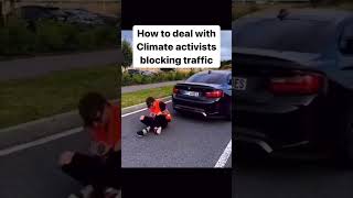 How to deal with a Climate activist automobile blocking traffic [upl. by Nossah]