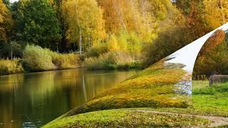 Herfst kleuren aan de Rondweg Dalfsen [upl. by Richman]