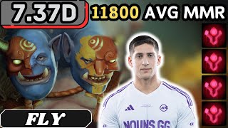 737d  Fly OGRE MAGI Hard Support Gameplay 21 ASSISTS  Dota 2 Full Match Gameplay [upl. by Hilario]