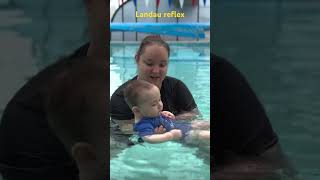 The Landau reflex demonstration in the water swimming babyswimming reflexes [upl. by Adnolay]