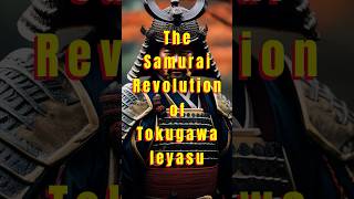 The Samurai Revolution of Tokugawa Ieyasu [upl. by Nnylaf]