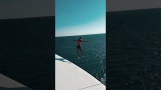 Dive into Fun kitesafari boatlife yachtlife yacht travel lakelife [upl. by Ursi190]