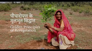 8 Golden Principles of Revegetation [upl. by Agretha]