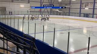 Ottawa Ice U16AA vs Nepean [upl. by Karilla]