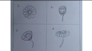 Pencil Drawing Flowers  How to Draw Flowers With Pencil Sketch  Flowers Drawing Step by Step [upl. by Naitsirc801]