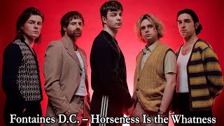 Fontaines DC – Horseness Is the Whatness Lyrics [upl. by Eissej]