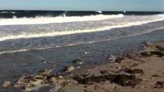 Wild waves on Sandy Neck [upl. by Valerlan]