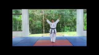 Tongil Moo Do Forms 1  9 Instructional Video Part 1 [upl. by Harim]