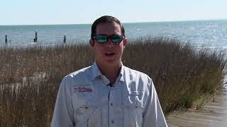 Texas Fishing Tips Fishing Report 61324 Baffin Bay Area With CaptGrant Coppin [upl. by Cohberg]