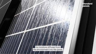 Maxeon panels are built to power through heat and humidity [upl. by Clement538]