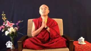 Mingyur Rinpoche talks about Nyoshul Khen Rinpoche [upl. by Rehtnug]