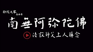 南無阿彌陀佛聖號   彌陀之家東林寺 法寂師父上人一音念佛國語二小時 [upl. by Sidnak]