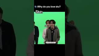 straykids stray kpop idol funny edit skz funnymoments core [upl. by Thirion]