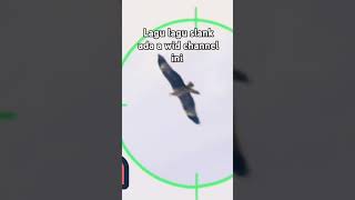 fyppppppppppppppppppp my video [upl. by Carper]