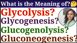 Differences between GlycolysisGlycogenesisGlycogenolysisGluconeogenesis divyamishra [upl. by Aratehs843]