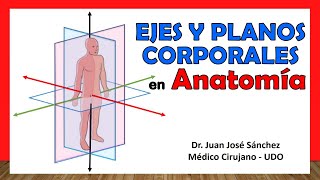 🥇 PLANOS Y EJES CORPORALES en Anatomía ¡Fácil Rápido y Sencillo [upl. by Nnaecyoj]