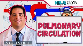 Circulatory System  Pulmonary Circulation [upl. by Cataldo395]