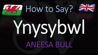 How to Pronounce Ynysybwl CORRECTLY Welsh Village Pronunciation [upl. by Eugor]