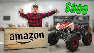 Testing 800 Amazon Quad It gets Destroyed [upl. by Eigriv]