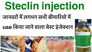 Steclin injection uses in hindioxytetracycline hcl injection uses in hindioxy veterinary injection [upl. by Amihc]