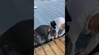 Steel roof self adhesive waterproofing membrane laying process [upl. by Sewel282]