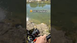 Мечта рыбака  Fishermans Dream 🤯 fishing zelimfishing [upl. by Donell108]