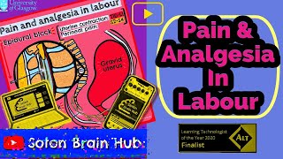 Pain and Analgesia in Labour [upl. by Magnolia228]