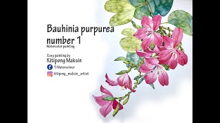 Bauhinia purpurea number 1 [upl. by Noyart]