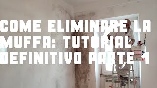 Come eliminare la muffa Tutorial definitivo parte 1 [upl. by Frasch]