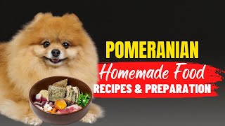 Homemade Food For Pomeranians  Recipes And Preparation Method  Dogs Genesis  DogsGenesis [upl. by Gniy]