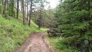 Trail 6021 to Caves Black Hills SD [upl. by Ramsden252]