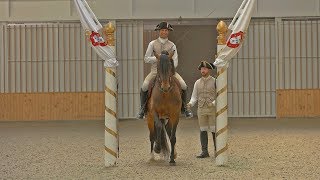 Mornings of Escola Portugesa de Arte Equestre [upl. by Coltson]