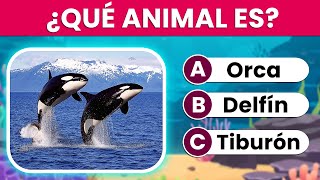 Adivina el Animal Correcto 🧐  ESPECIAL Animales Acuáticos 🐳🐠 [upl. by Mata]