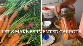 Fermenting Carrots Its SO Simple [upl. by Odnalro]