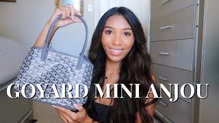 GOYARD MINI ANJOU REVIEW  SHEBAG [upl. by Starla]