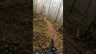 Autumn wet and sketchy trail condition [upl. by Leahciam603]