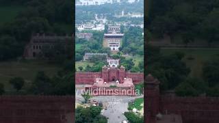 Lalkila Old DELHI in India Altamash VLOG [upl. by Matthias]