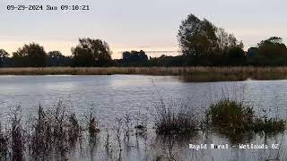 Waddesdon Eythrope Wetlands 02 [upl. by Aihsenod768]