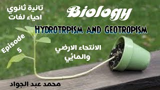 Episode 5 I Geotropism and Hydrotropism I [upl. by Sinnaoi]