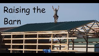 Pole Barn Build Part 3 Raising the barn and getting the roof on [upl. by Ajnek714]