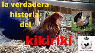 la verdadera historia del gallo kikiriki [upl. by Vivi763]