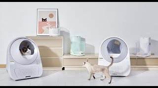 Young CATLINK Automatic Cat Litter Box Young [upl. by Nasus]